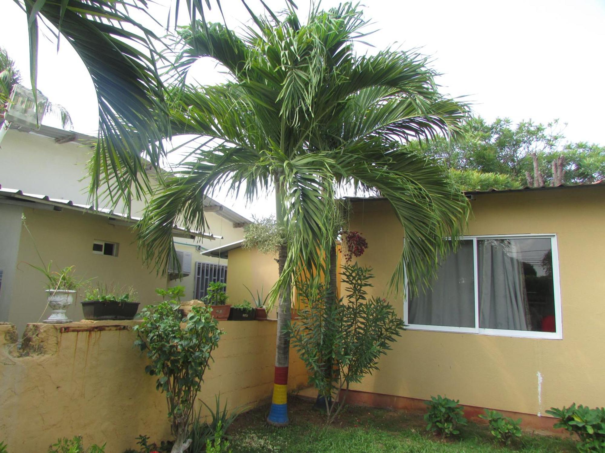 San Andrés Posada Hostal Miss Marlly מראה חיצוני תמונה